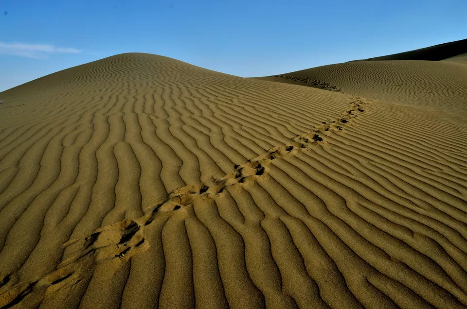 Photo of New Delhi, Delhi, India by Abhishek Dasgupta