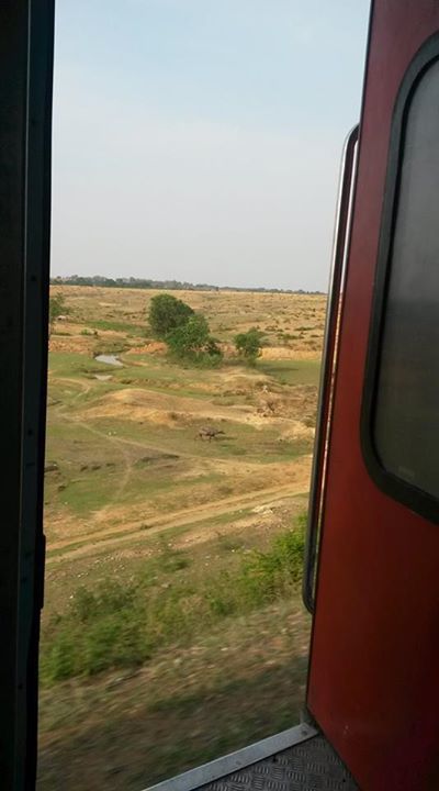 Photo of Essence of Sleeper Class in Purushottam Express by Avinash Singh