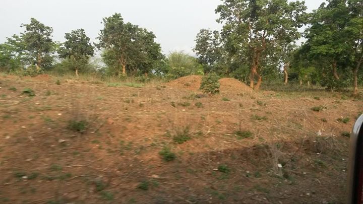 Photo of Essence of Sleeper Class in Purushottam Express by Avinash Singh