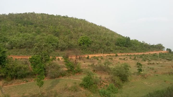 Photo of Essence of Sleeper Class in Purushottam Express by Avinash Singh