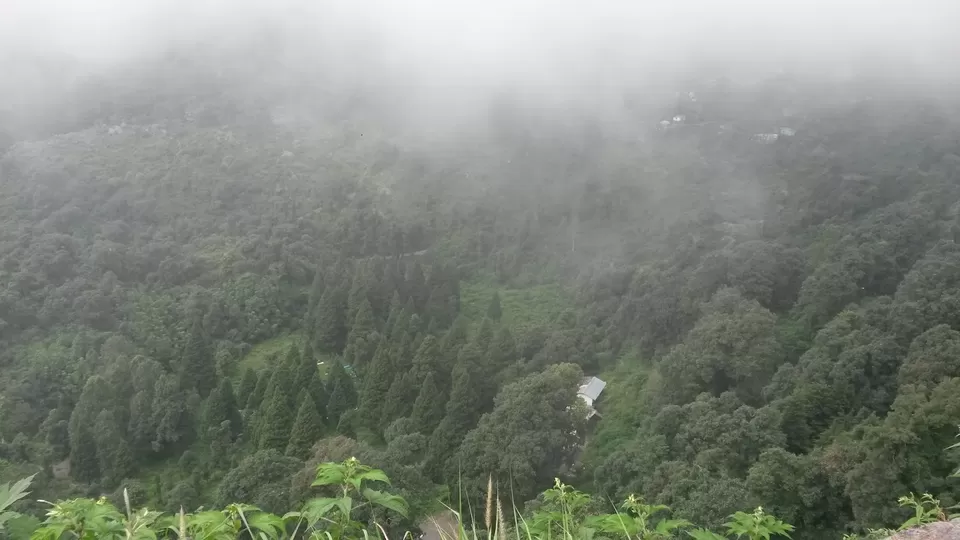 Photo of Suicide Point, Nainital by Avinash Singh