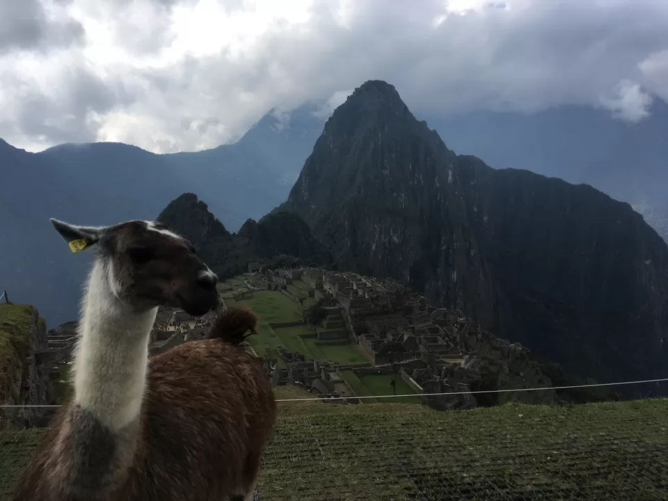 Photo of Aguas Calientes, Cusco, Peru by Lemuel Dsouza