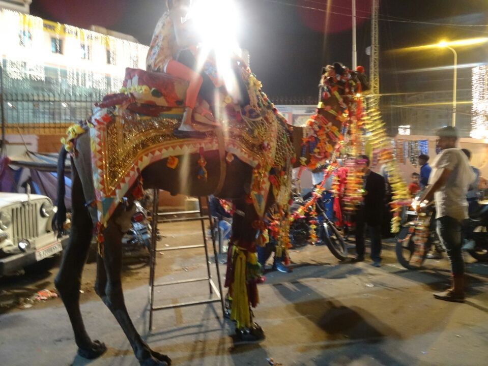 Photo of Pratap Nagar, Dadabari, Kota, Rajasthan 324009, India by Ashish Soni