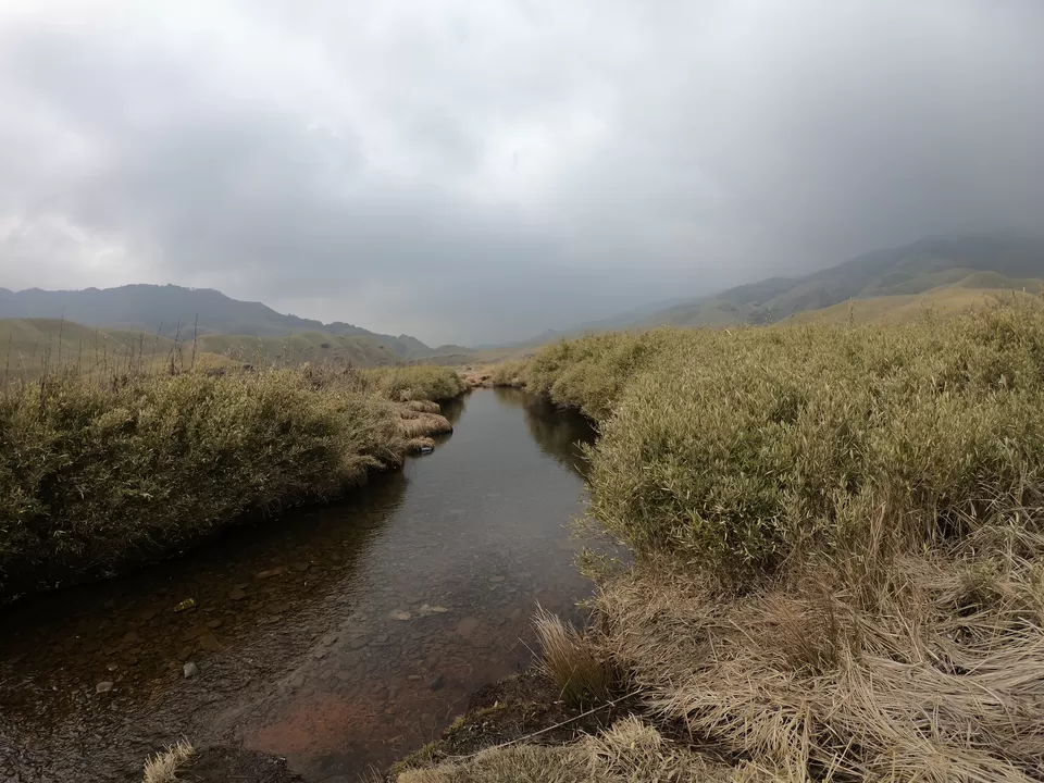 Photo of Dzükou Valley Trek, Kohima, Nagaland, India by Aditya Patil