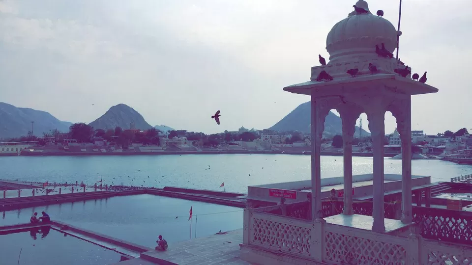 Photo of Pushkar, Rajasthan, India by Manuhaar Dhamija