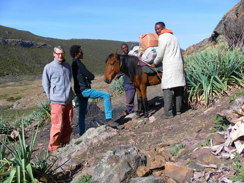 Photo of Bale Mountains National Park, Bale, Oromia, Ethiopia by Armaye Negalign