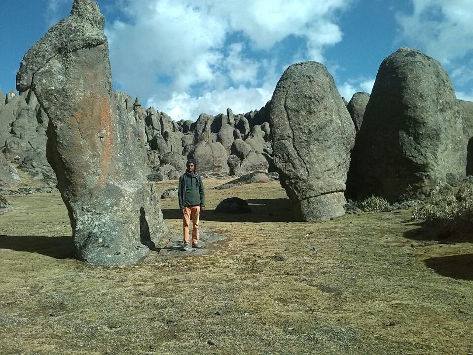 Photo of Bale Mountains National Park, Bale, Oromia, Ethiopia by Armaye Negalign