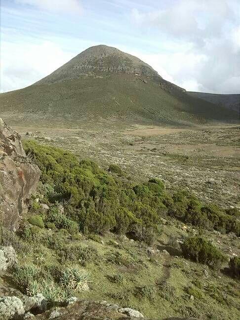 Photo of Bale Mountains National Park, Bale, Oromia, Ethiopia by Armaye Negalign