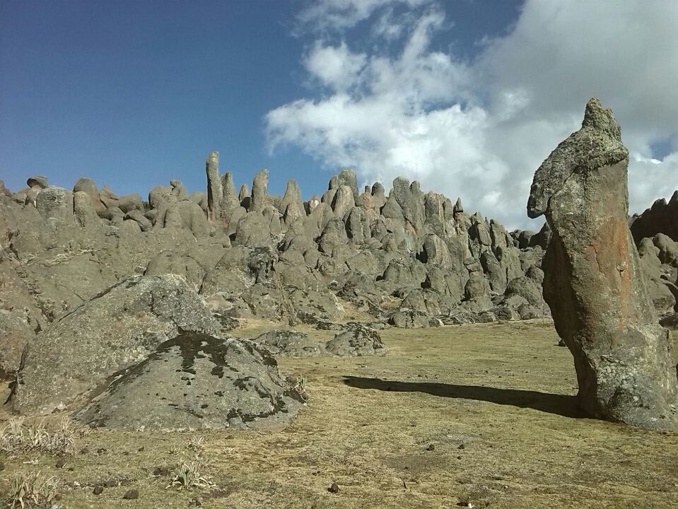 Photo of Bale Mountains National Park, Bale, Oromia, Ethiopia by Armaye Negalign