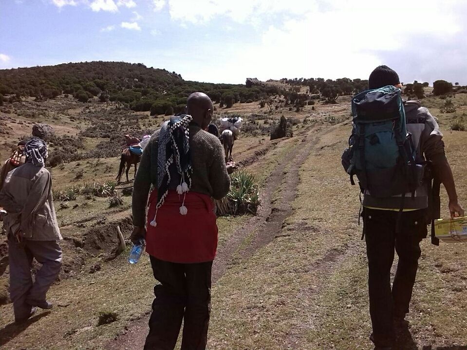 Photo of Bale Mountains National Park, Bale, Oromia, Ethiopia by Armaye Negalign