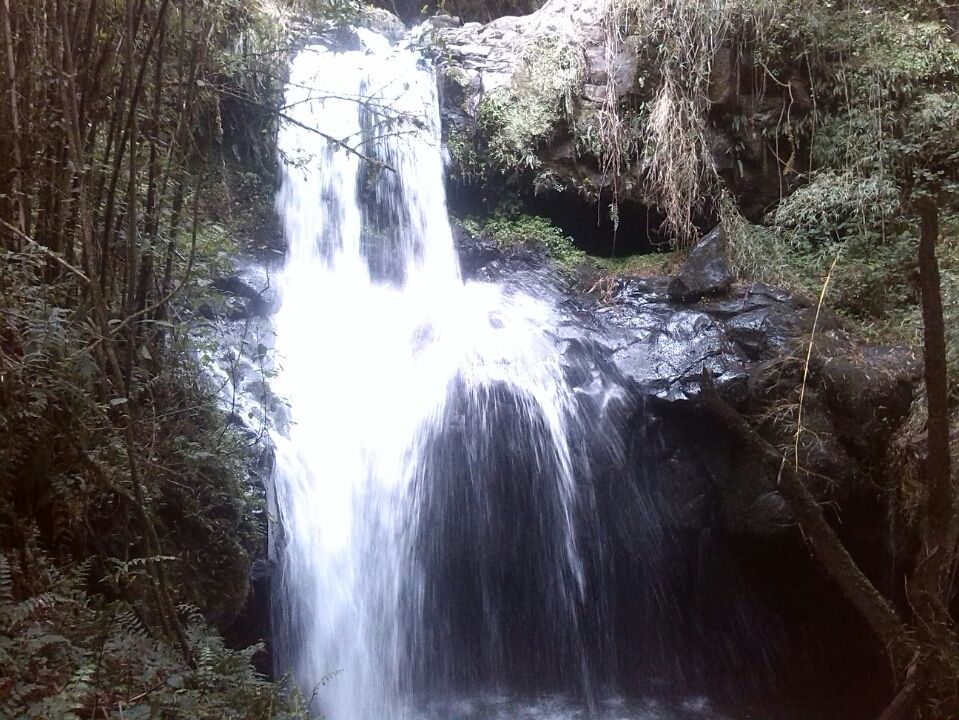 Photo of Bale Mountains National Park, Bale, Oromia, Ethiopia by Armaye Negalign