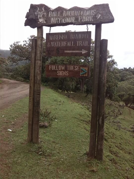 Photo of Bale Mountains National Park, Bale, Oromia, Ethiopia by Armaye Negalign