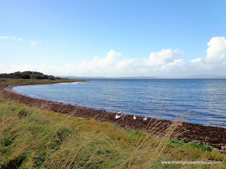 Photo of Spectacular Scotland - Millport Isle of Cumbrae trip in pictures 4/14 by Sharing our experiences