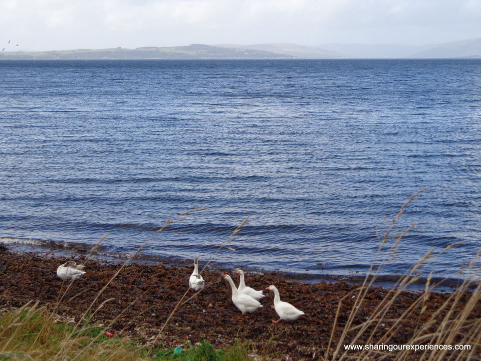 Photo of Spectacular Scotland - Millport Isle of Cumbrae trip in pictures 2/14 by Sharing our experiences