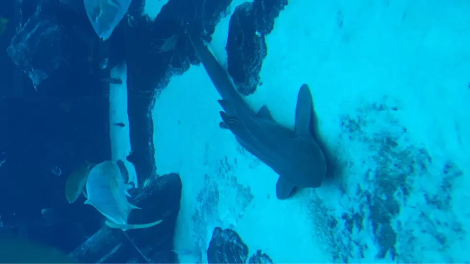 Photo of Dubai by Dr Kshitij Khaparde