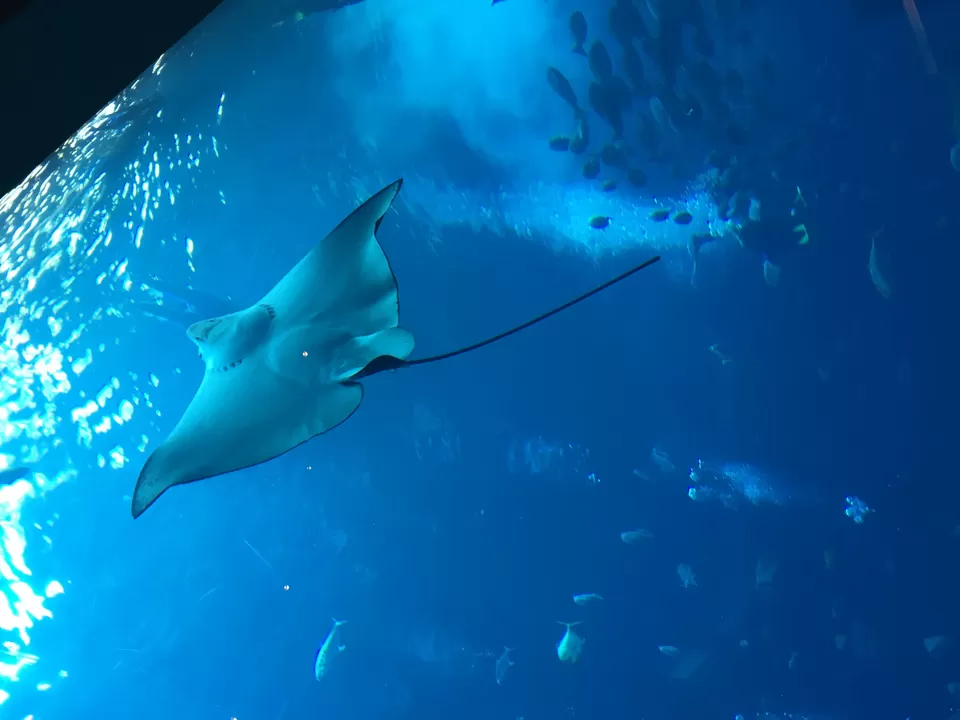 Photo of Dubai by Dr Kshitij Khaparde