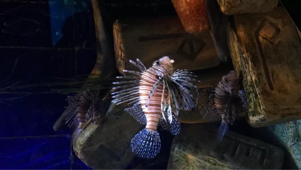 Photo of Dubai by Dr Kshitij Khaparde