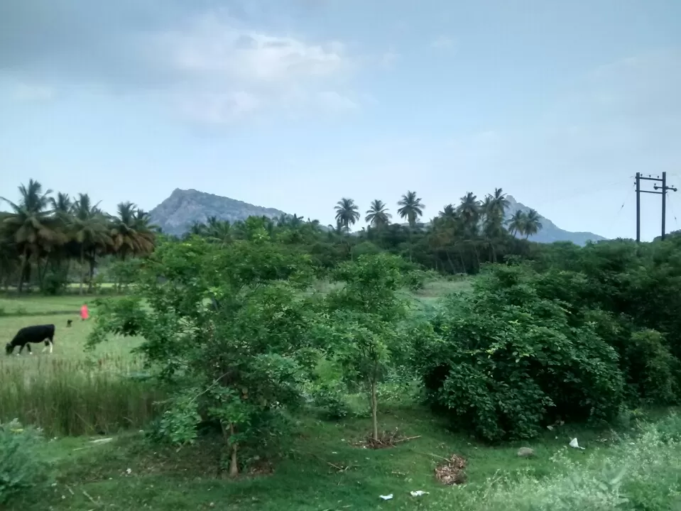 Photo of Krishnagiri, Tamil Nadu, India by Kamal Haz