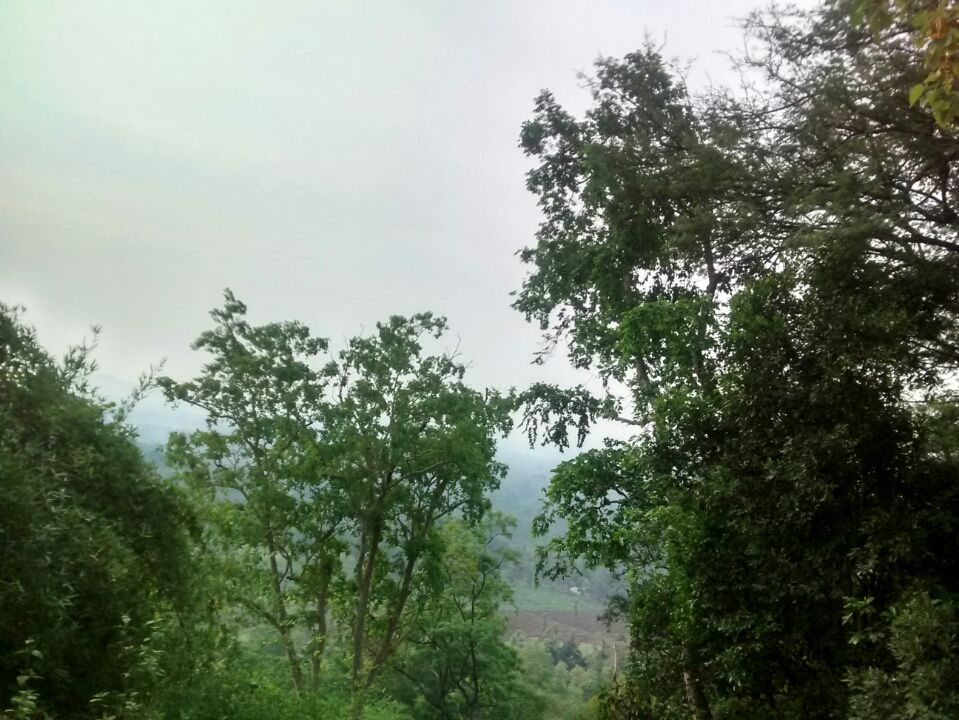 Photo of Nilgiri Hills, Nilgiris, Tamil Nadu, India by Kamal Haz