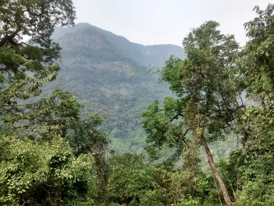 Photo of Ooty, Tamil Nadu, India by Kamal Haz