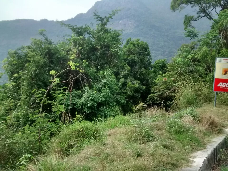 Photo of Ooty, Tamil Nadu, India by Kamal Haz