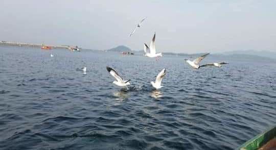 Photo of ■■||পাতি নয় 'পাতরাতু'||■■ 10/22 by যাযাবর দেব -Debjyoti Bandyopadhyay