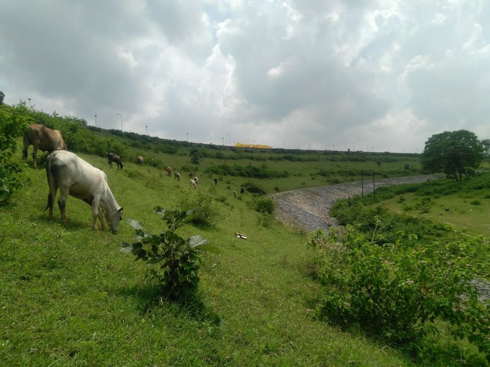 Photo of ■■||পাতি নয় 'পাতরাতু'||■■ 22/22 by যাযাবর দেব -Debjyoti Bandyopadhyay