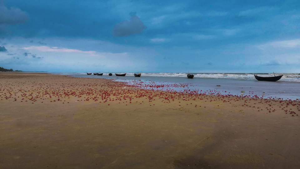 Photo of লাল কাঁকড়া বিচ 7/9 by যাযাবর দেব -Debjyoti Bandyopadhyay