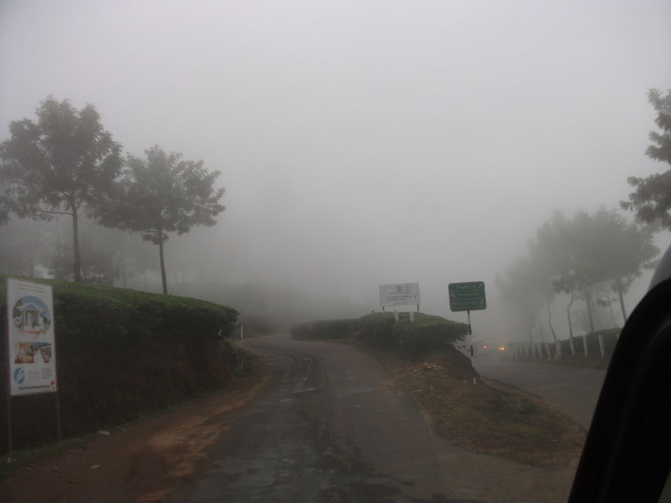 Photo of Munnar – Treasures hidden behind the mist 6/22 by Myron D'silva