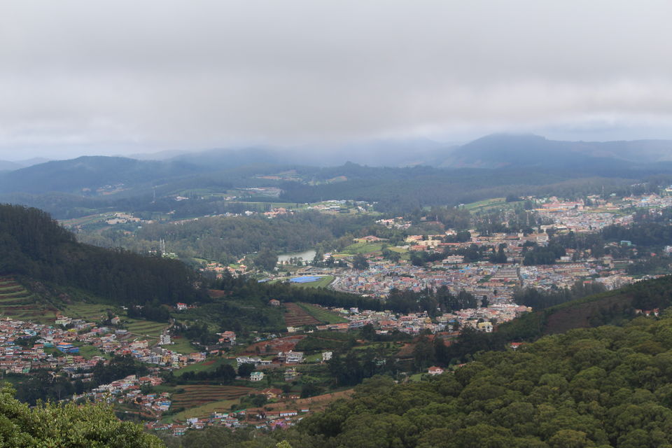Photo of Ooty 3/13 by Juhi Bansal