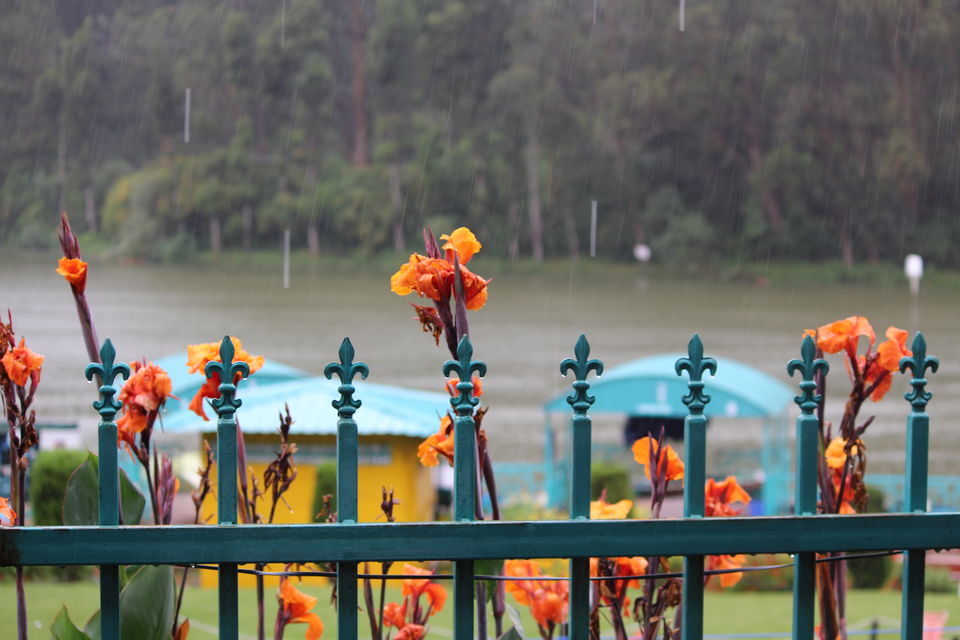 Photo of Ooty 10/13 by Juhi Bansal