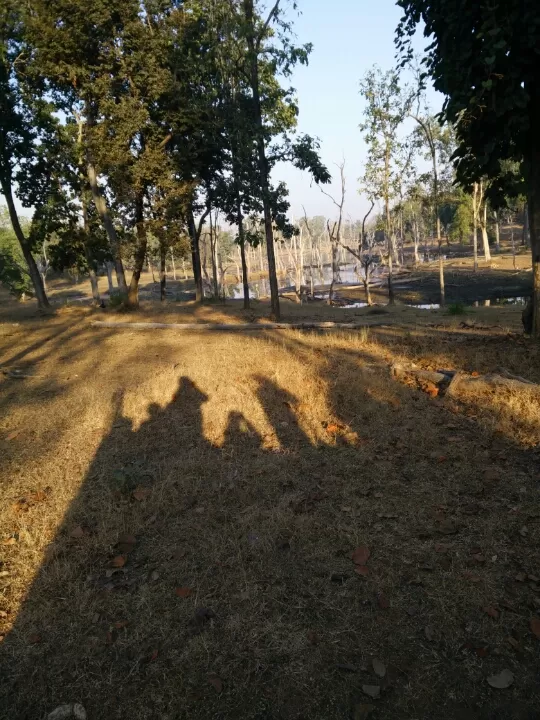 Photo of Turia Road, Kohka, Madhya Pradesh 480881, India by Prem Baba