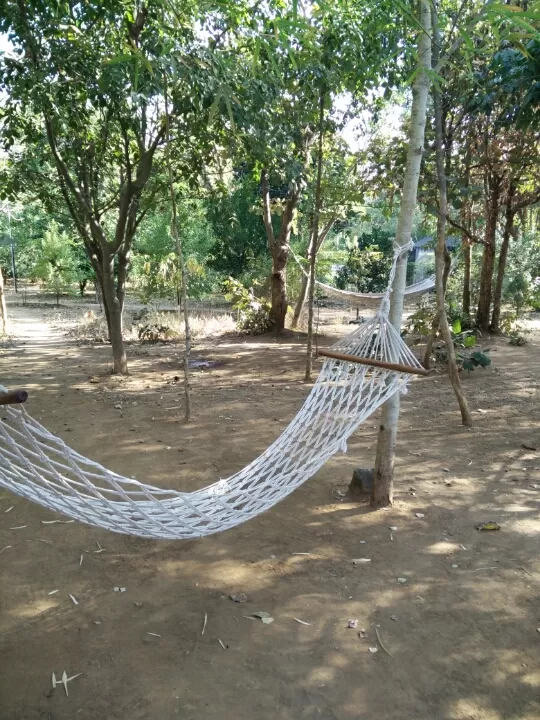 Photo of Turia Road, Kohka, Madhya Pradesh 480881, India by Prem Baba