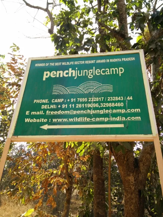 Photo of Turia Road, Kohka, Madhya Pradesh 480881, India by Prem Baba