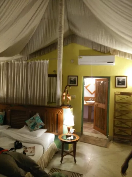 Photo of Turia Road, Kohka, Madhya Pradesh 480881, India by Prem Baba
