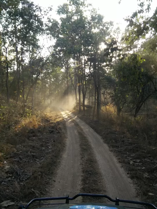 Photo of Turia Road, Kohka, Madhya Pradesh 480881, India by Prem Baba