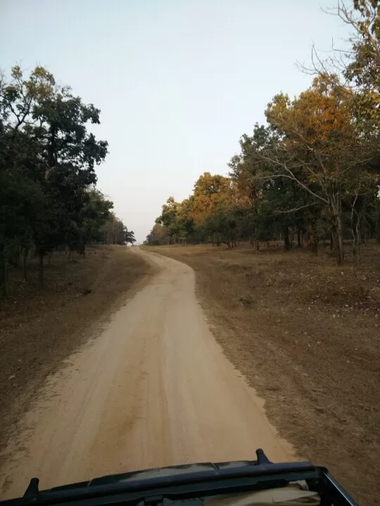 Photo of Turia Road, Kohka, Madhya Pradesh 480881, India by Prem Baba