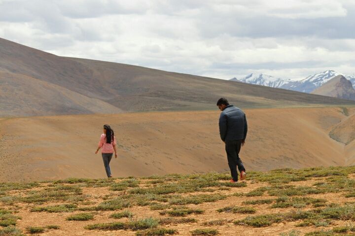 Photo of More Plains by Pradeep Choudhary