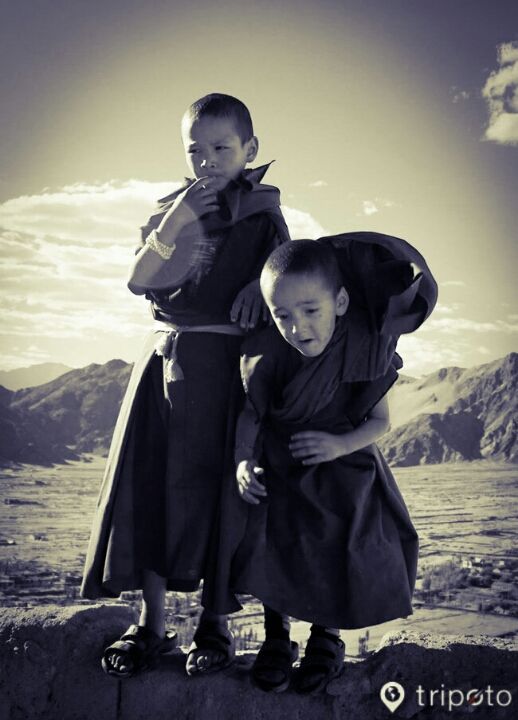 Photo of Nubra valley by Pradeep Choudhary