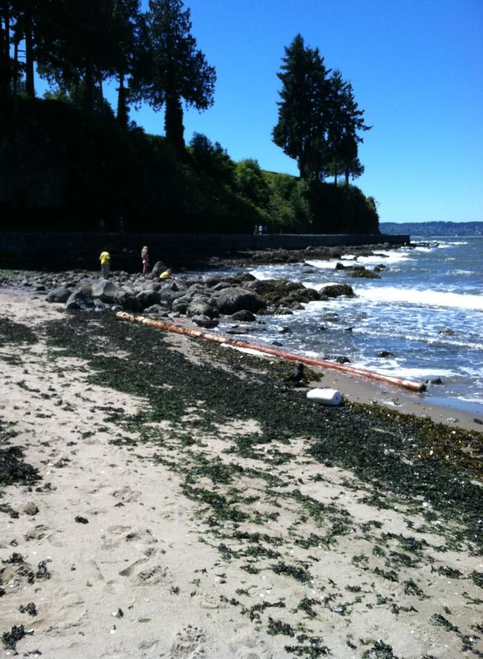 Photo of Third Beach, Vancouver, BC, Canada by Daisy