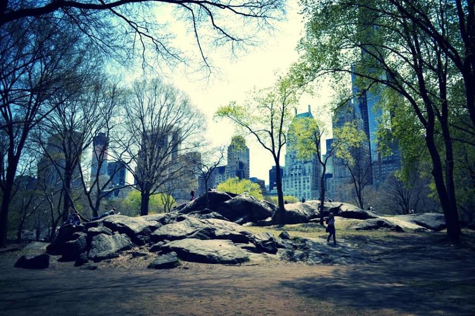 Photo of Central Park, New York, NY, United States by Daisy