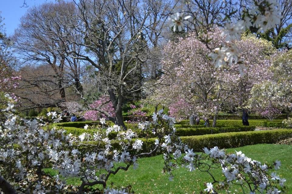 Photo of Brooklyn Botanic Garden, Washington Avenue, Brooklyn, NY, United States by Daisy