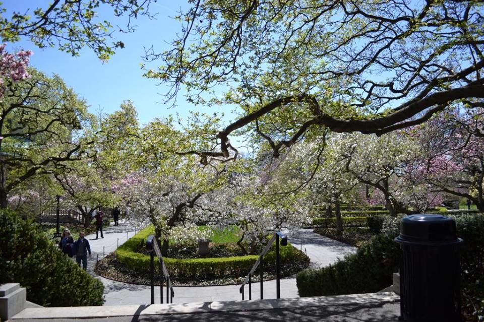 Photo of Brooklyn Botanic Garden, Washington Avenue, Brooklyn, NY, United States by Daisy