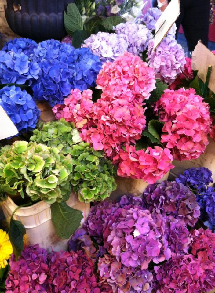 Photo of Granville Island Public Market, Johnston Street, Vancouver, BC, Canada by Daisy
