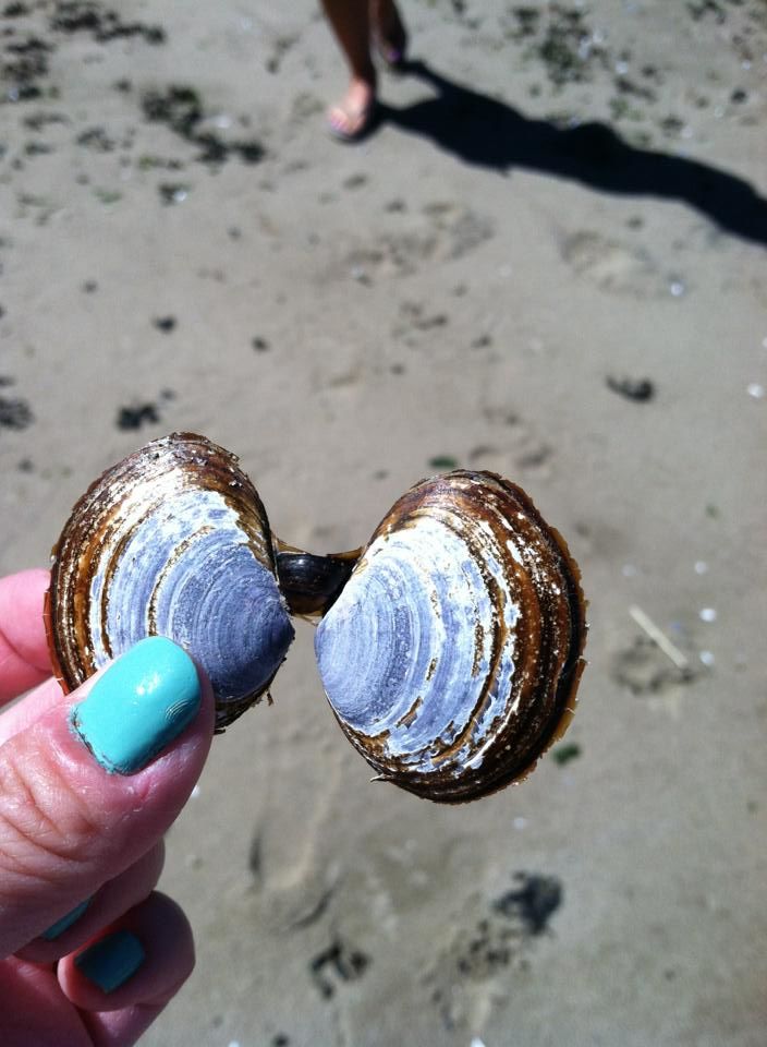 Photo of Third Beach, Vancouver, BC, Canada by Daisy