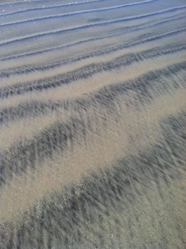 Photo of Coronado Beach, Ocean Boulevard, Coronado, CA, United States by Daisy