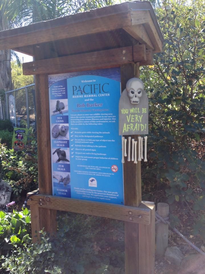 Photo of Pacific Marine Mammal Center, Laguna Canyon Road, Laguna Beach, CA, United States by Daisy