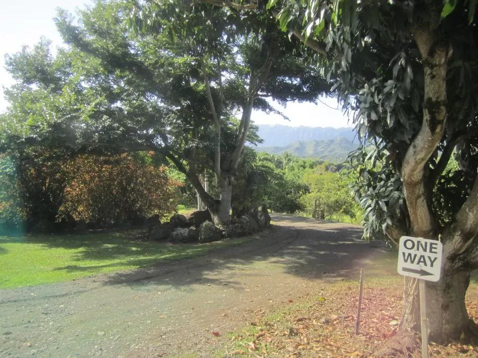 Photo of Kualoa Ranch, Kahaluu, HI, United States by Daisy
