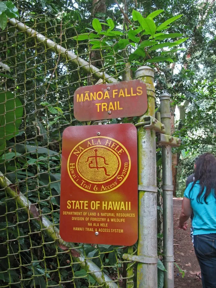 Photo of Manoa Falls Trail, Honolulu, HI, United States by Daisy