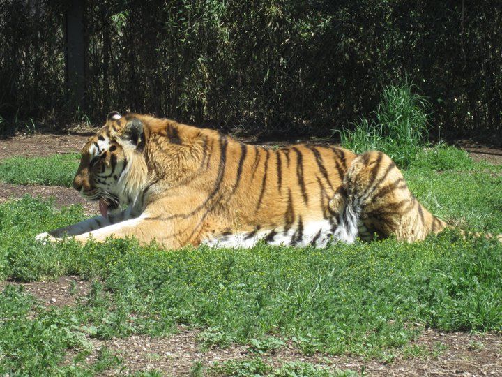 Photo of Zoo Boise, Julia Davis Drive, Boise, ID, United States by Daisy